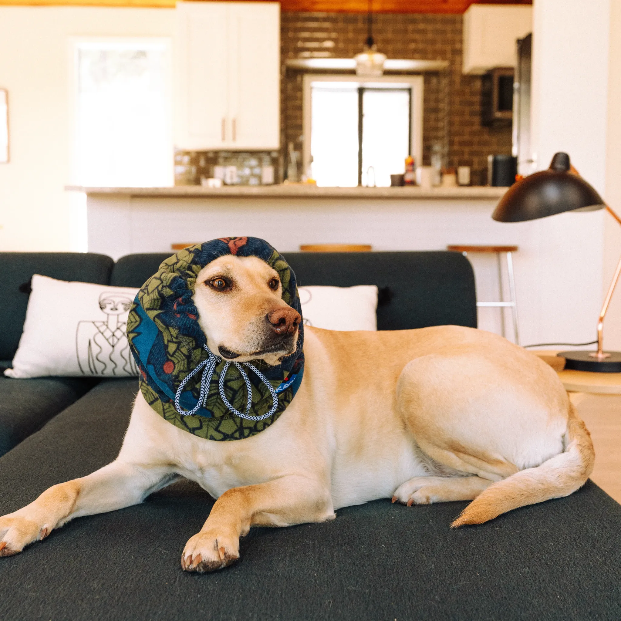 KAVU South Sound Neck Warmer KAVU Europe